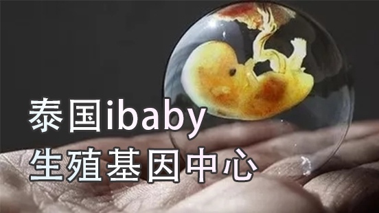 Ibaby生殖中心：最具泰国试管技术及成功率优势的医院